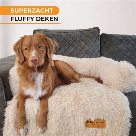 goedkoop vet voor honden